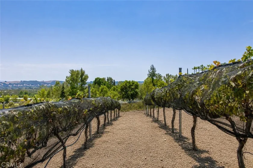40190 Sierra De Ronda photo 66