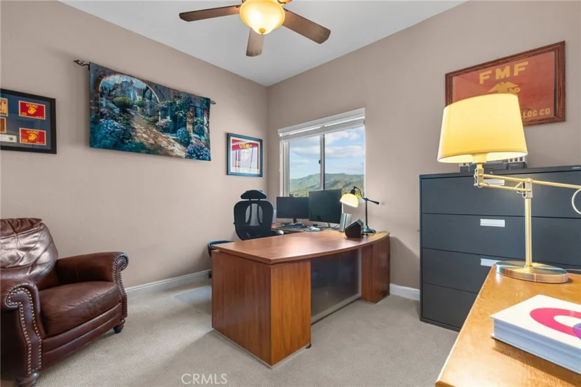 35394 Linda Rosea Road photo 41