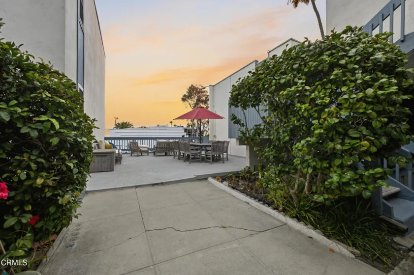 245 Aster Street #6 photo 26