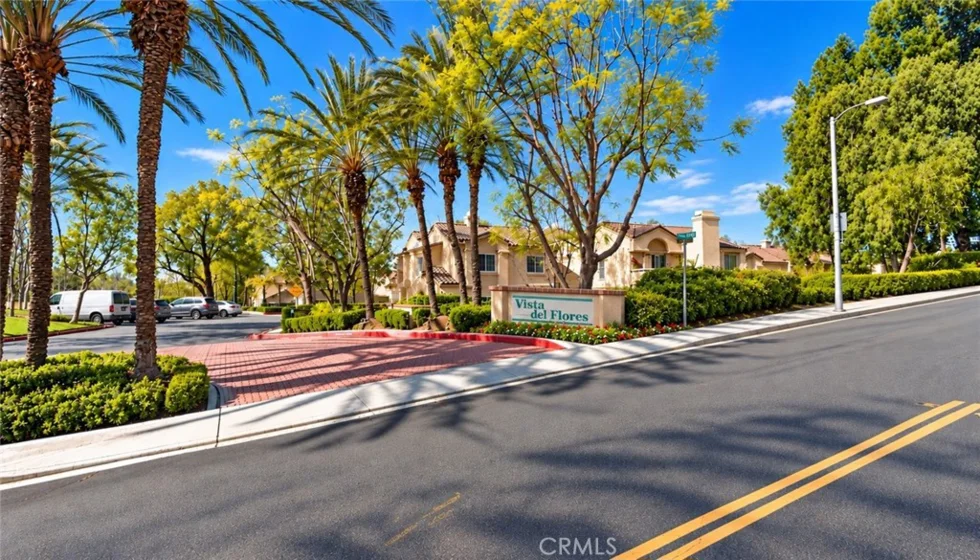 21156 Gladiolos photo 15