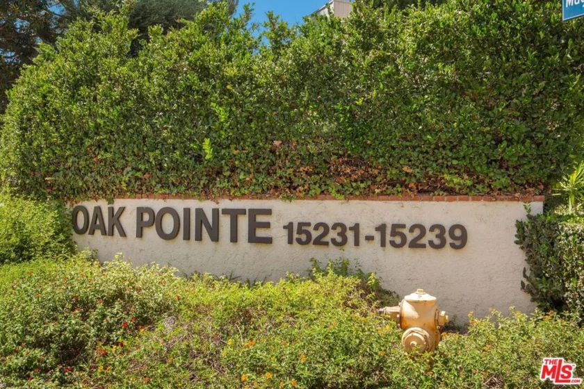 15231 Magnolia Boulevard #114 photo 30
