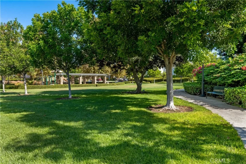 3216 Carrotwood photo 47