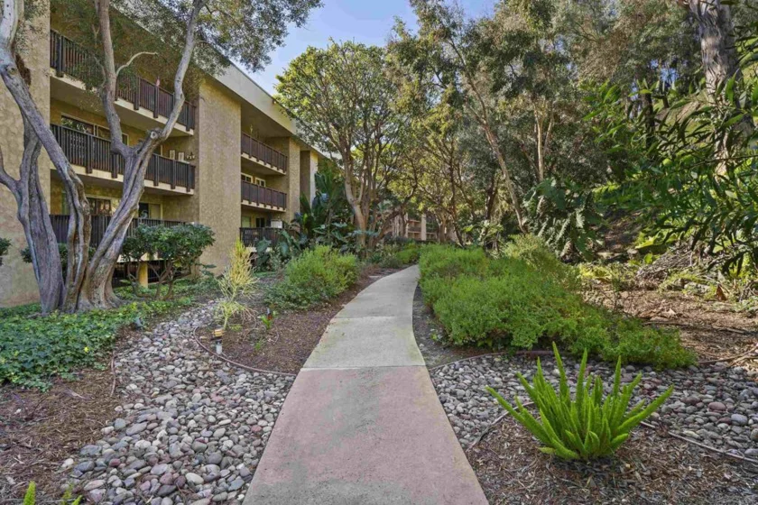 6406 Friars #338 photo 18
