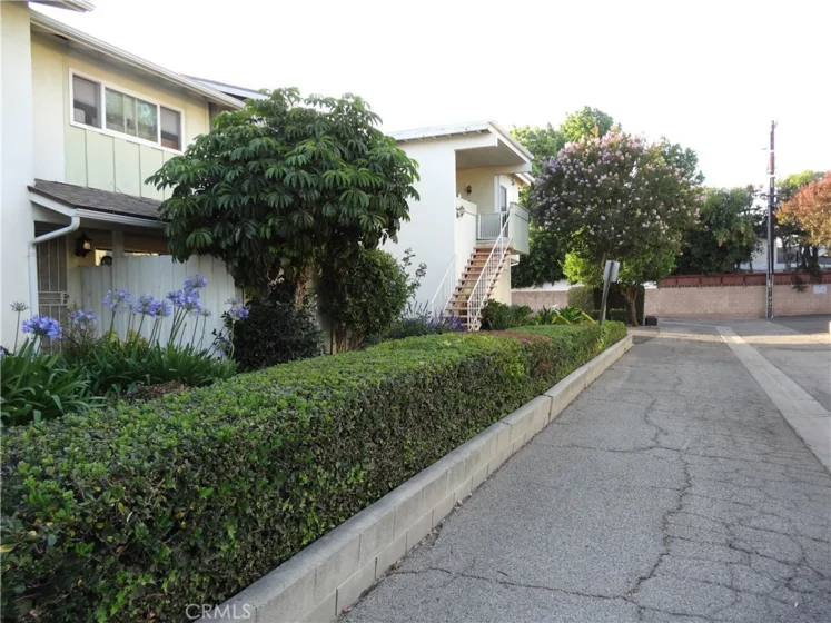 16741 Parthenia #3 photo 2