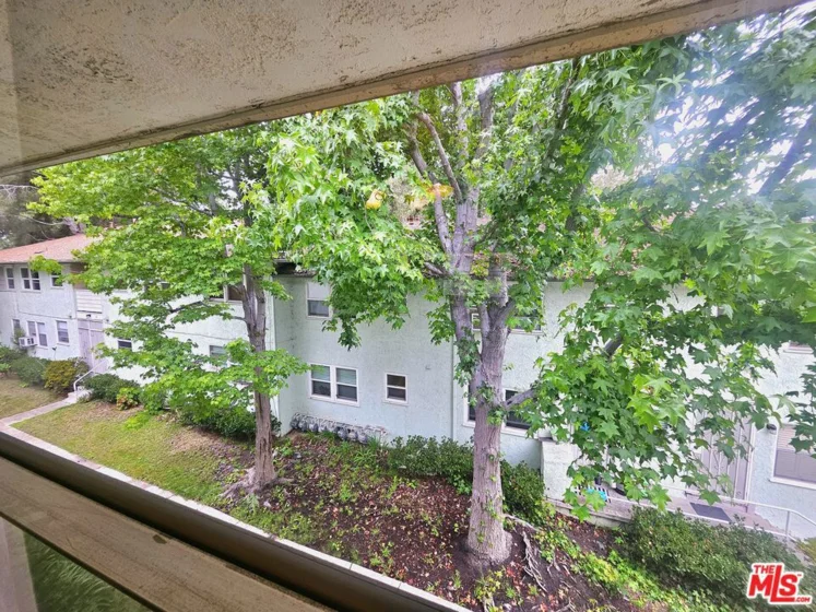 3622 Kalsman Drive #258 (aka 4 photo 9