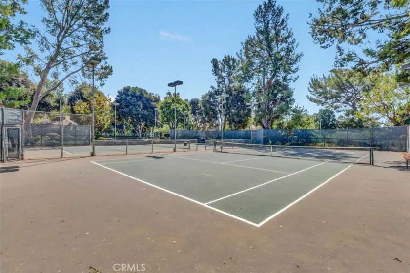 247 Pineview photo 37