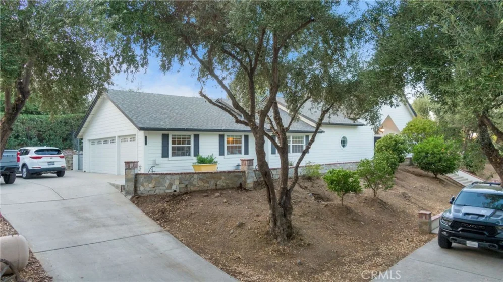 42761 Juniper photo 63