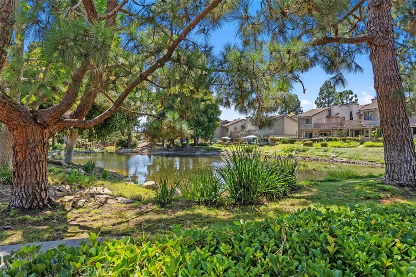 26972 Mill Pond Road photo 31