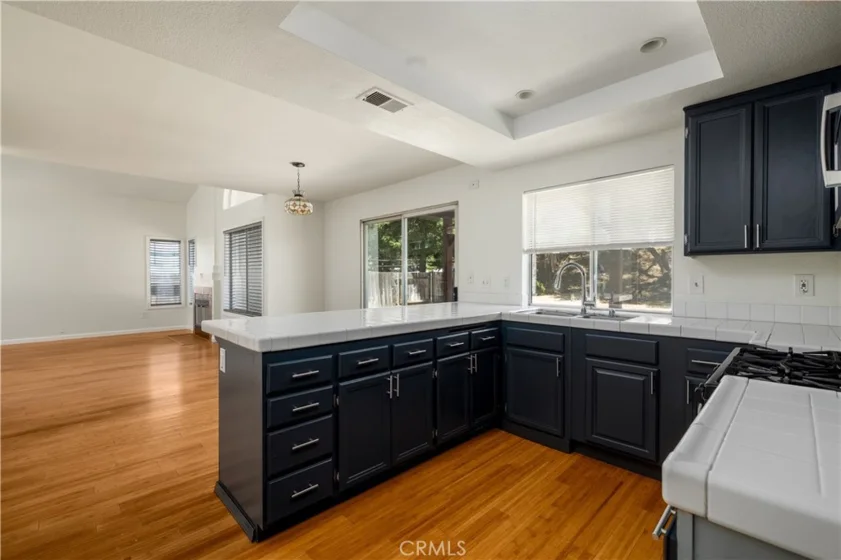 30000 Pechanga Drive photo 14
