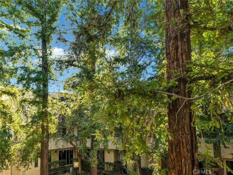 7800 Topanga Canyon Boulevard #216 photo 32