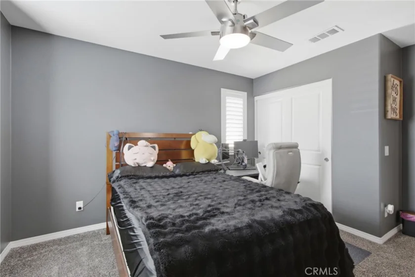 36612 Diego Springs photo 31