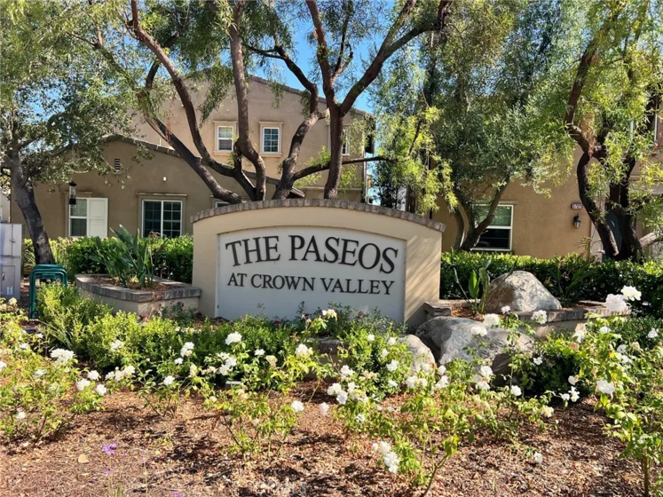 37338 Paseo Tulipa photo 22