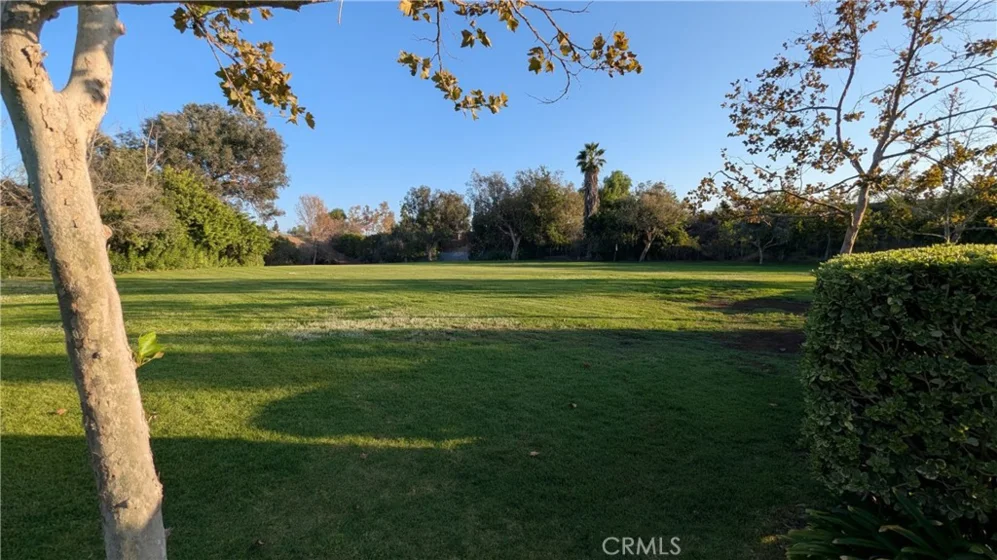 19216 Alamo Lane photo 23