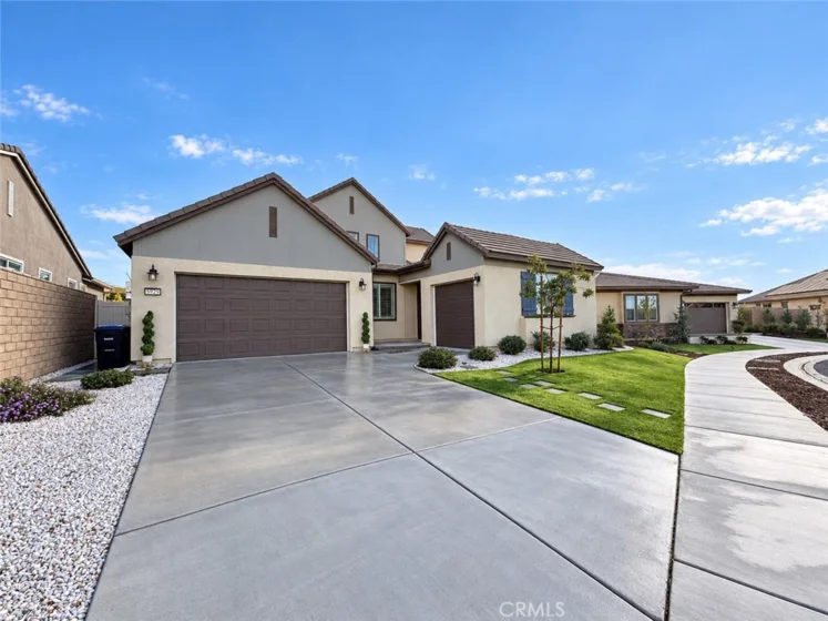 32229 Olea photo 4