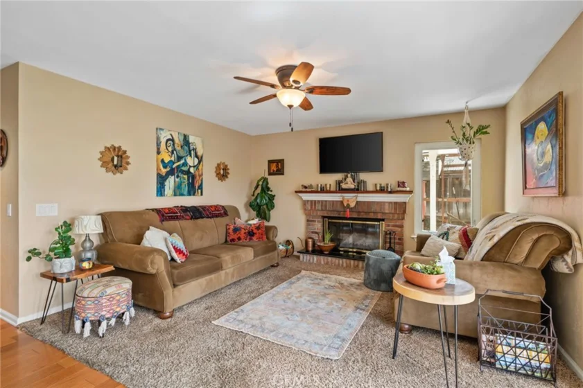 25401 Lacebark photo 16