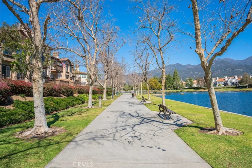 38 Carnation photo 44
