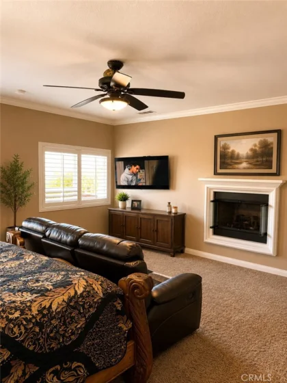 27511 Trefoil Street photo 18