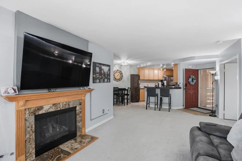 11115 Affinity Court #3 photo 25