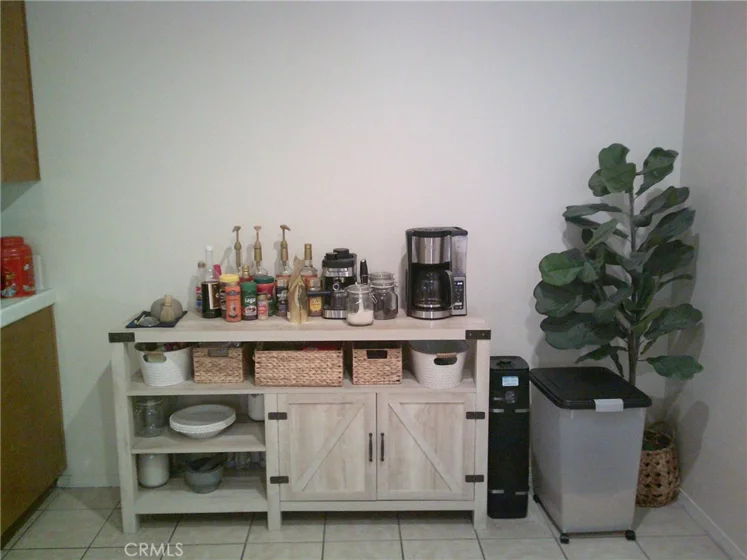 27959 Cactus #B photo 8