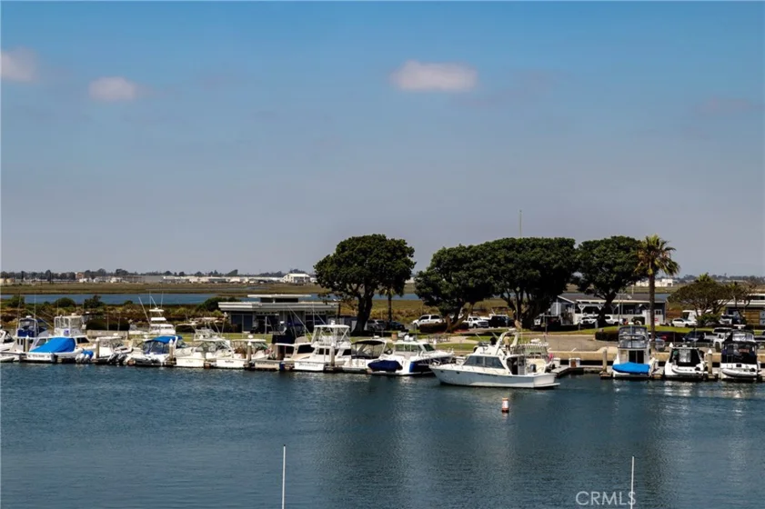 16255 Pacific Circle #203 photo 31