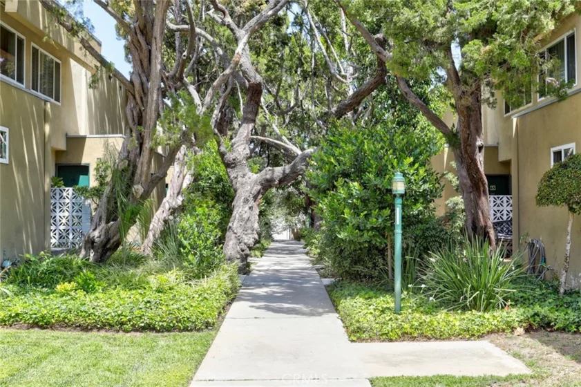 11138 Aqua Vista Street #9 photo 6