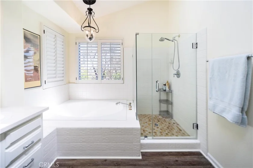 31660 Paseo Goleta photo 37