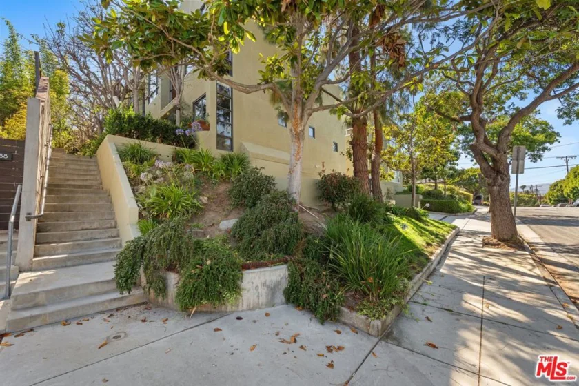 650 Pacific Street #8 photo 26