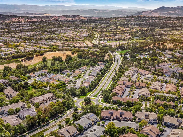 71 Orange Blossom photo 38