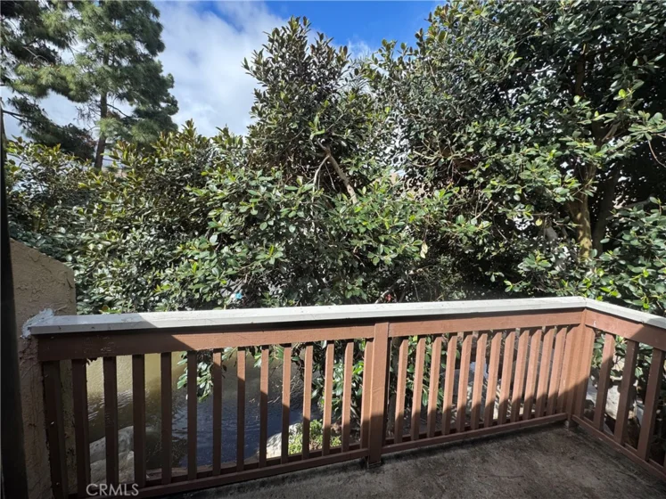 389 Orange Blossom photo 12