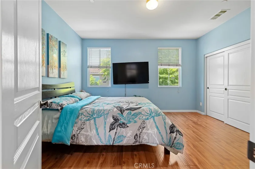8053 Picasso photo 33