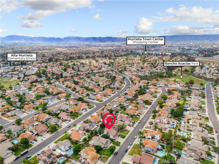 25401 Lacebark photo 51