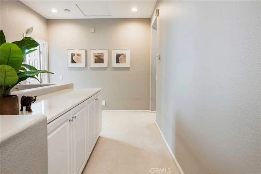 3216 Carrotwood photo 23