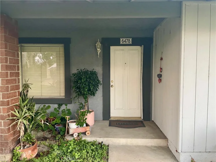 6478 Horse Shoe Lane #9 photo 1