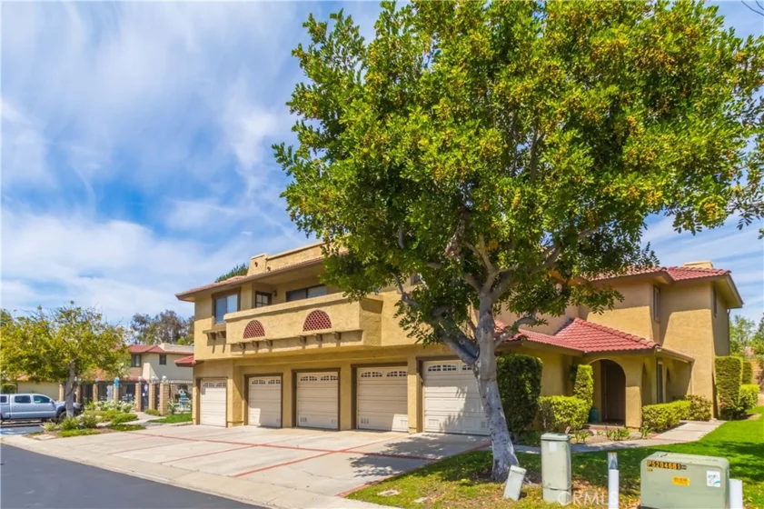 25261 Tanoak photo 37