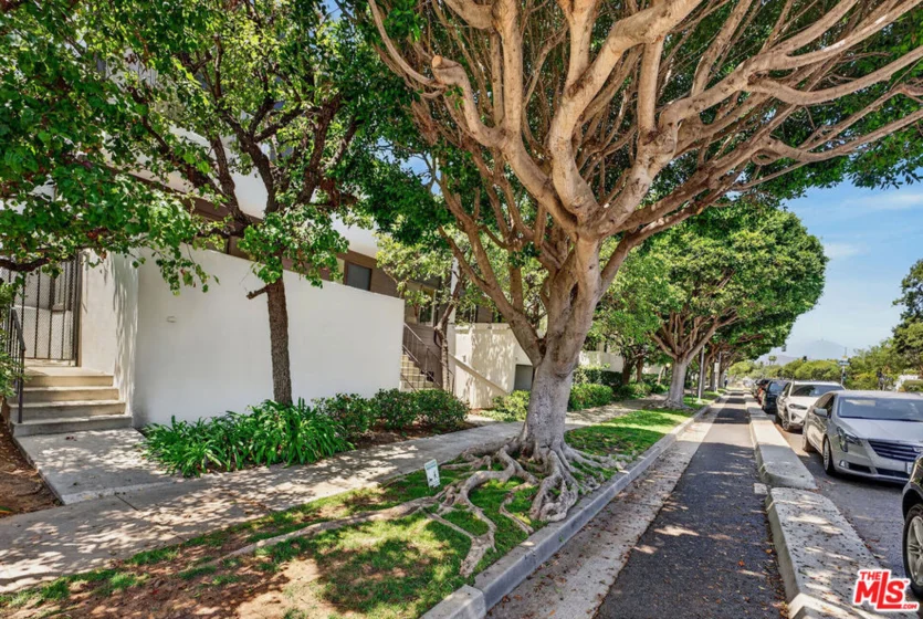 1314 17th Street #6 photo 15