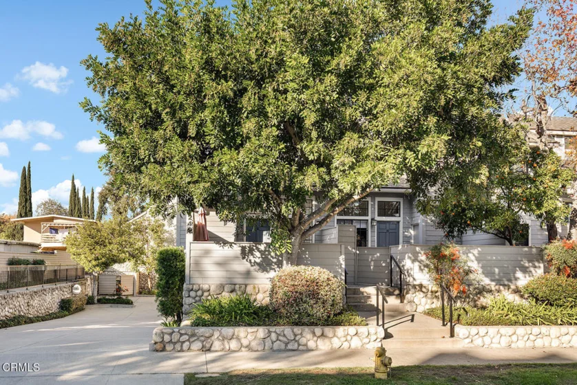 249 Alpine Street #60 photo 1
