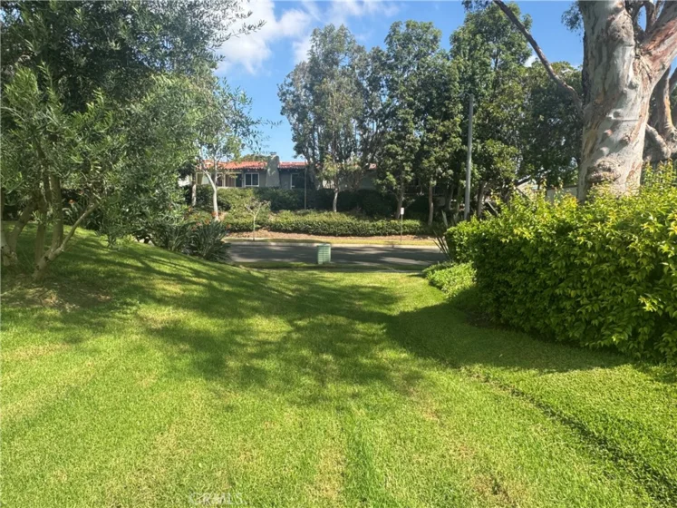 558 Vista Flora photo 58