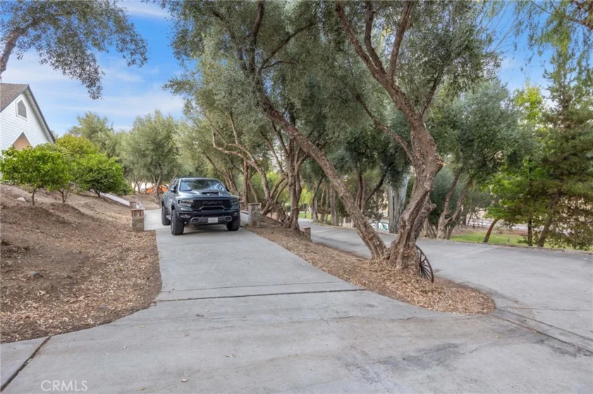 42761 Juniper photo 50