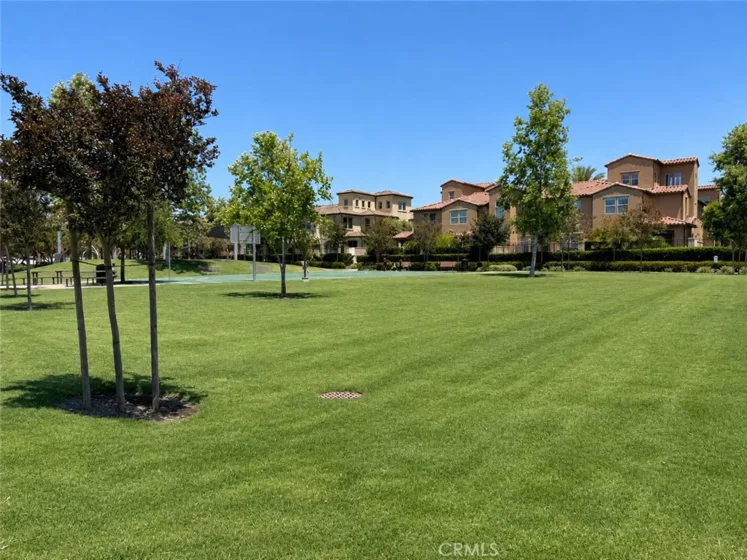 46 Finch photo 28