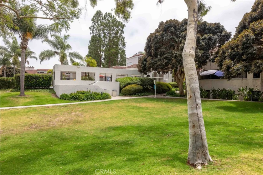 17151 Corbina photo 25