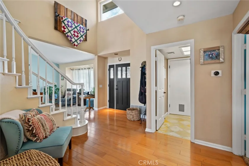 25401 Lacebark photo 15