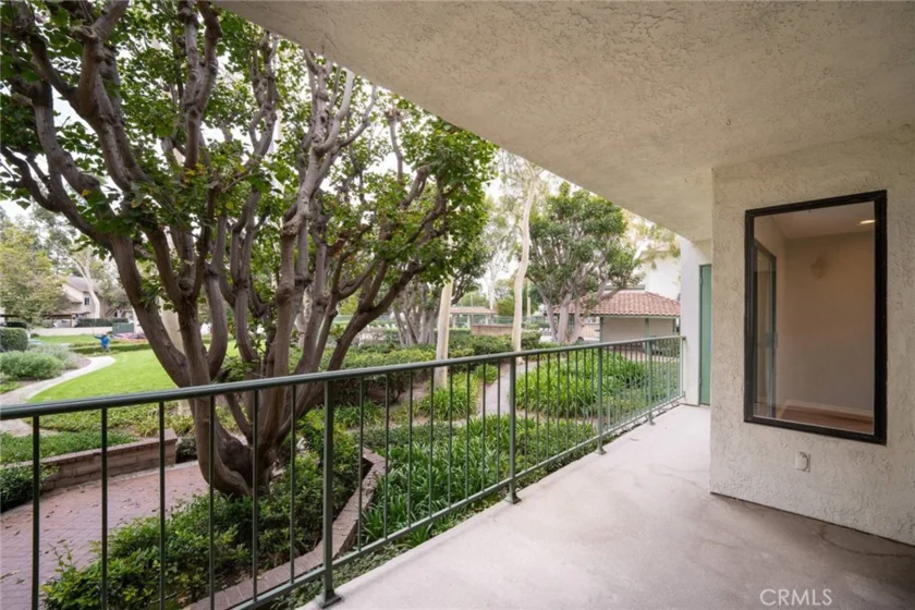 4114 Apricot photo 8