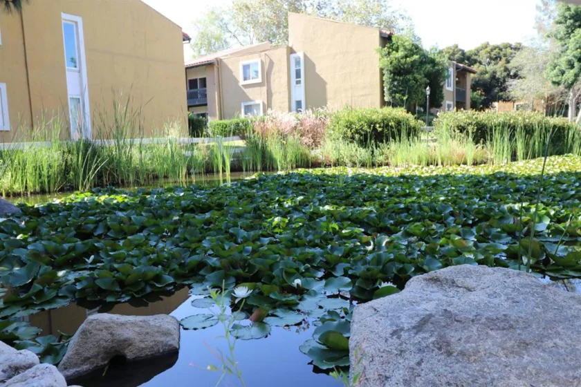 17081 W Bernardo Drive #107 photo 21