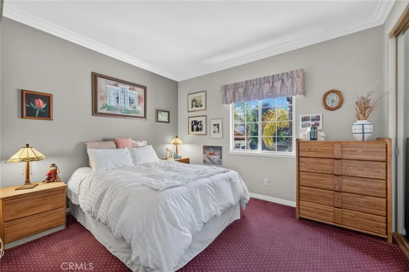 30767 Calle Pina Colada photo 51
