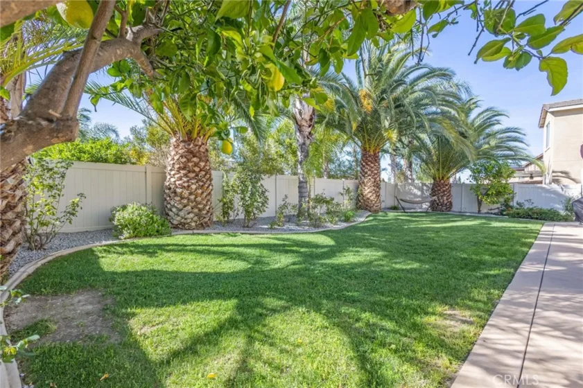 35385 Summerholly Lane photo 48
