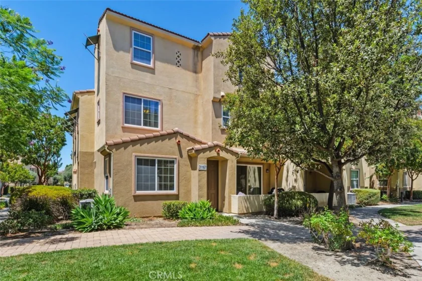 31167 Mountain Lilac photo 2