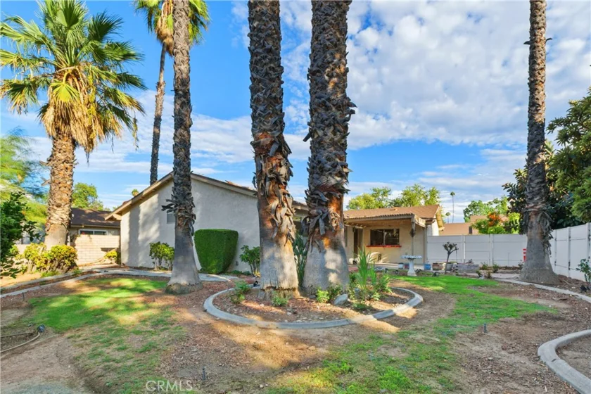 6631 Wintertree Drive photo 35