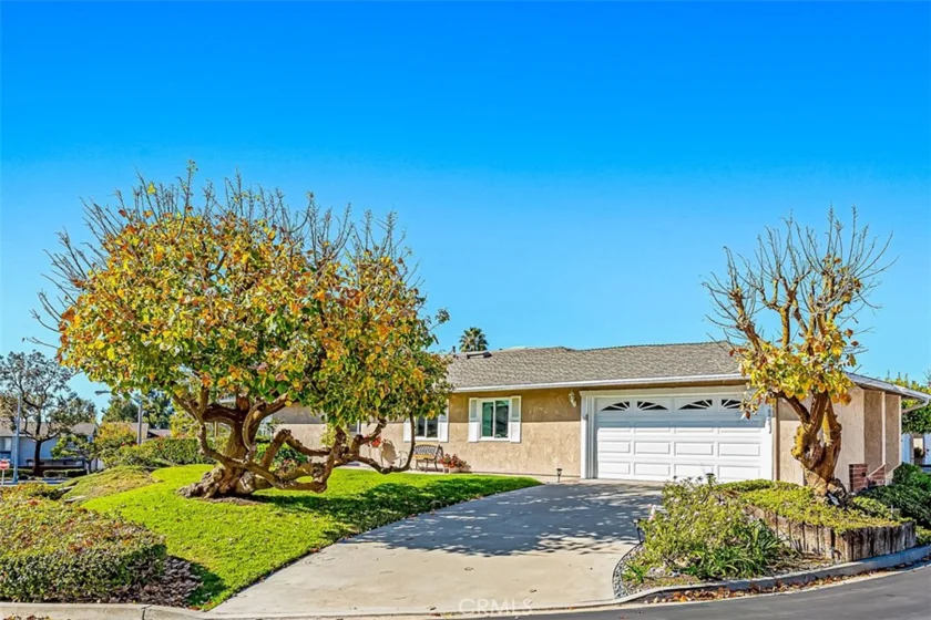 3301 Paseo Halcon photo 1