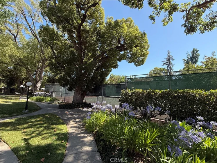 586 N Orange Grove photo 6