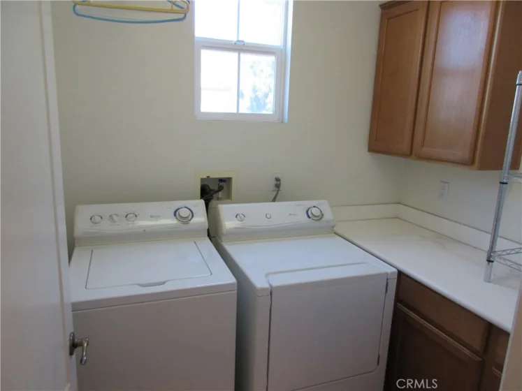 65 Figtree photo 35